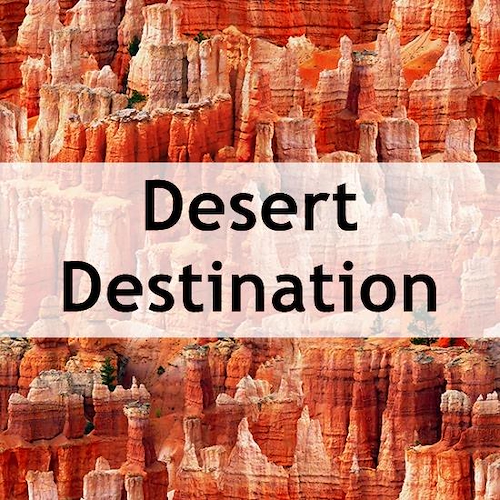Desert Destination